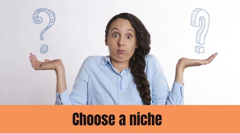 choose a niche