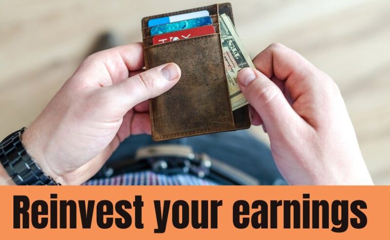 Reinvest earnings